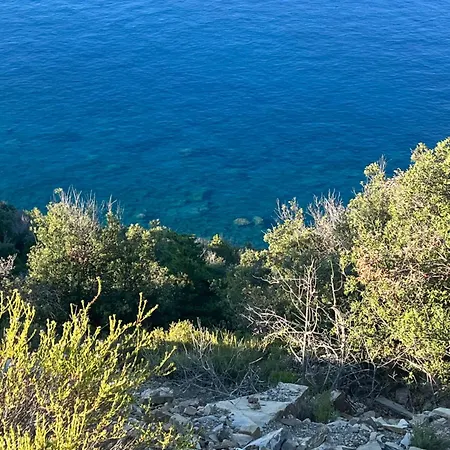 Casa Mia *